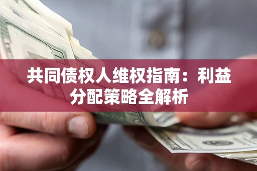北京共同债权人维权指南：利益分配策略全解析
